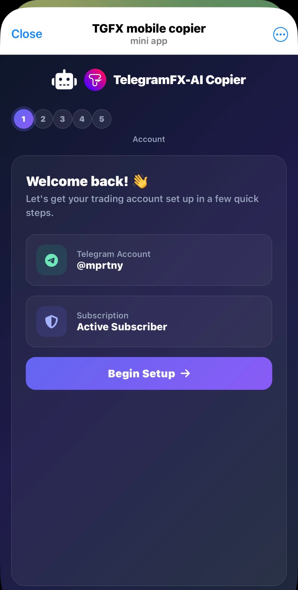 Telegram mini-apps